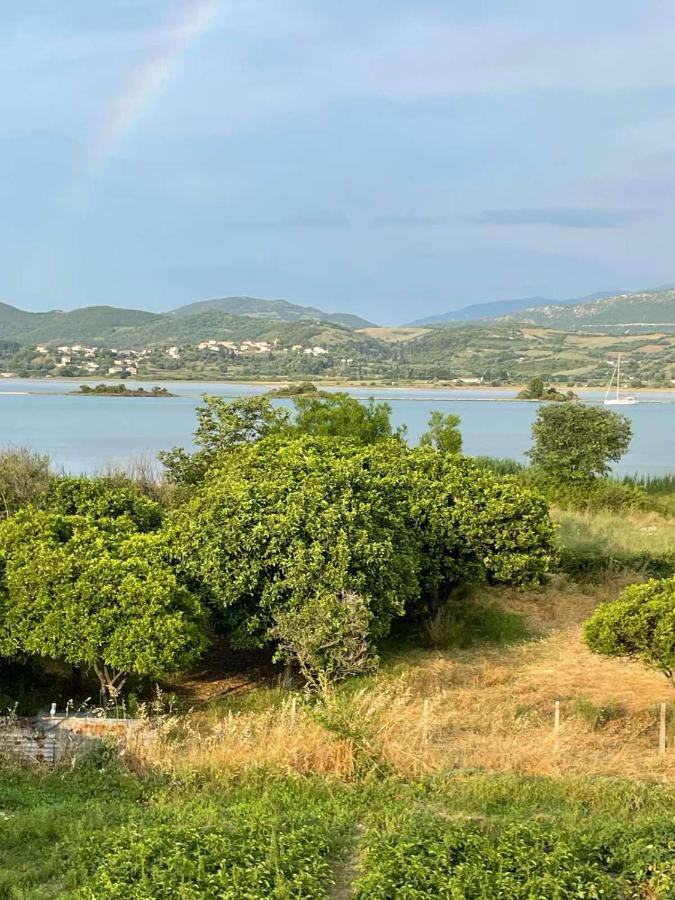 Tasos Cozy House Daire Kalligoni Dış mekan fotoğraf